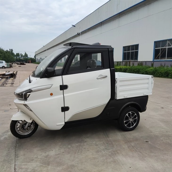 Runhorse Electric Logistics Vehicle Speed ​​Mini Car J2C