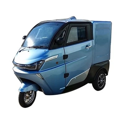 گواهینامه EEC 3000w موتور 3 چرخ تحویل بار الکتریکی سه چرخه برای بزرگسالان