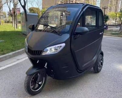 EEC L2e-P Electric Motorcycle Manned Lightweight Two Seats Ev Car